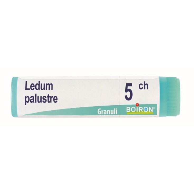 LEDUM PALUSTRE BOI*5CH GL 1G