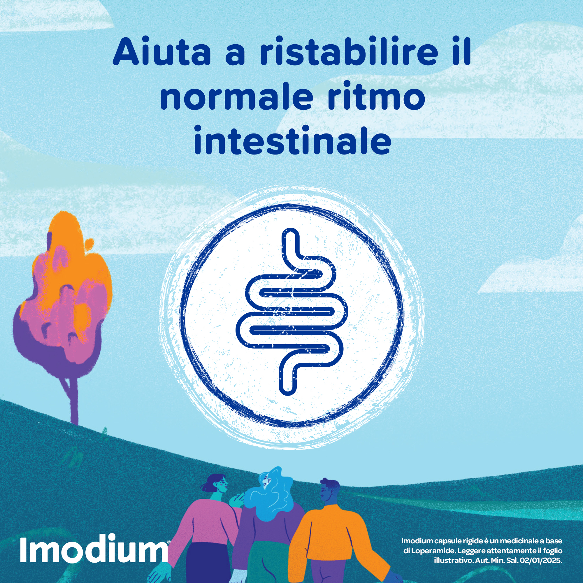 Imodium Diarrea occasionale acuta 12 Compresse
