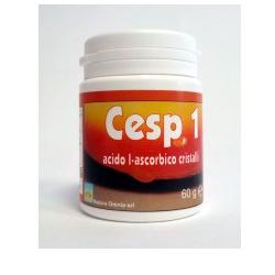 Cesp 1 Integratpre In Polvere 60 g