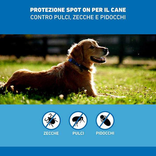 Frontline Spot On Cani x3 Pipette, Antiparassitario per Cani e Cuccioli (10-20Kg), Contro Pulci, Zecche E Pidocchi 