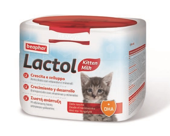 LACTOL GATTINO 250 GR