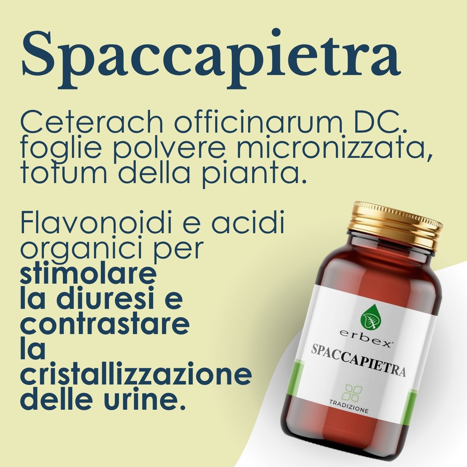 Erbex Spaccapietra Integratore Vie Urinarie 160 Compresse