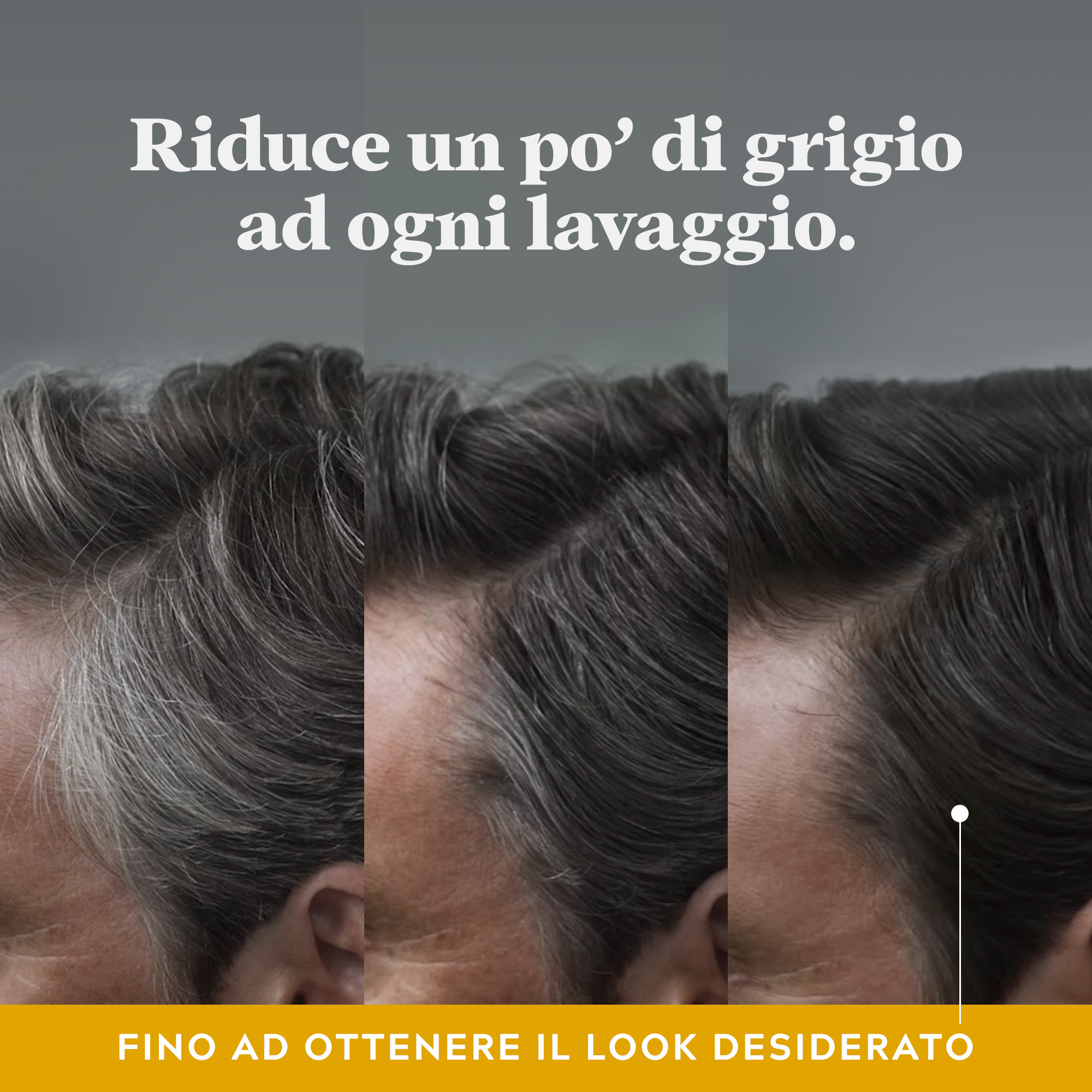 JUST FOR MEN Control GX Shampoo e Balsamo COLORANTE GRADUALE 2 in 1 118ML