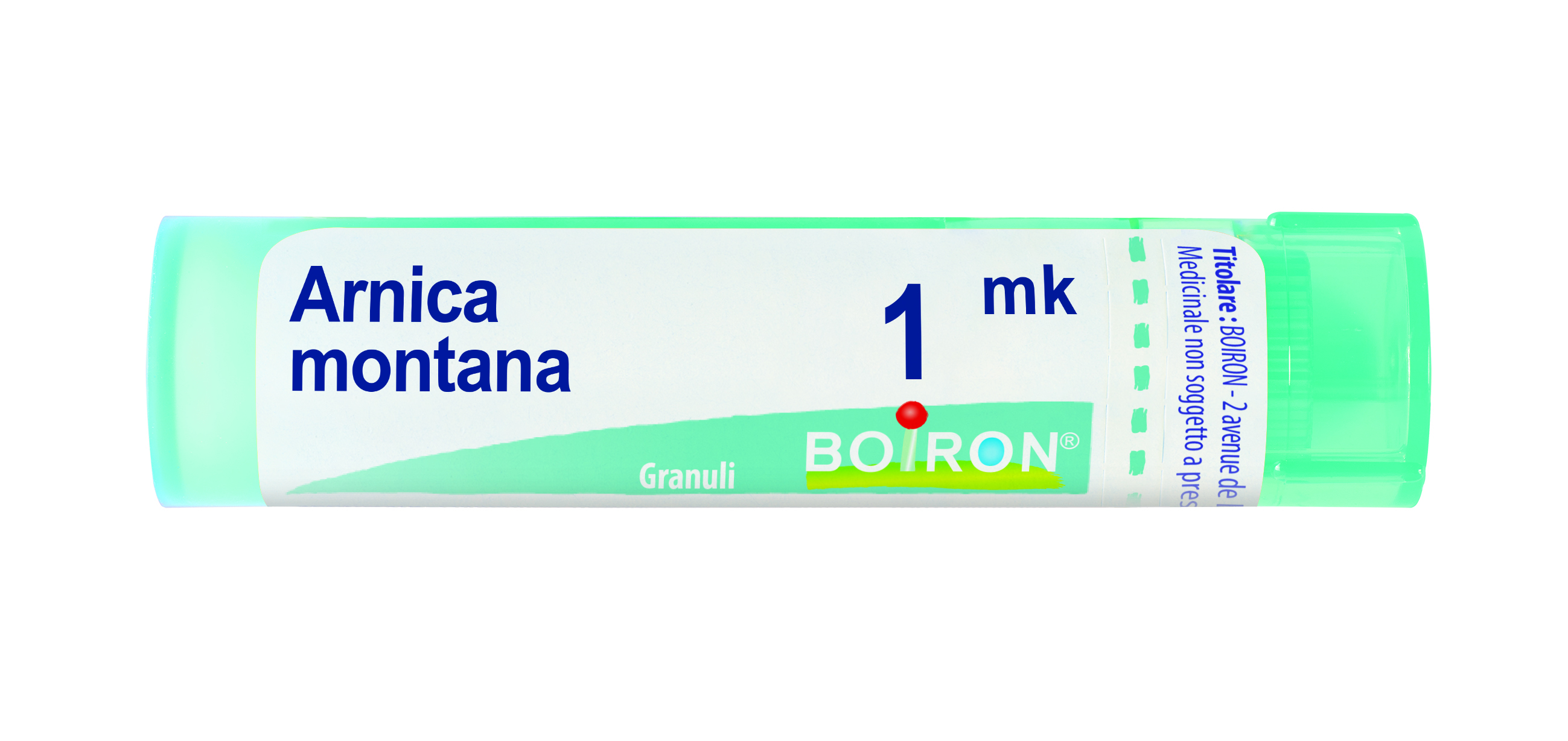 ARNICA MONTANA MK GR
