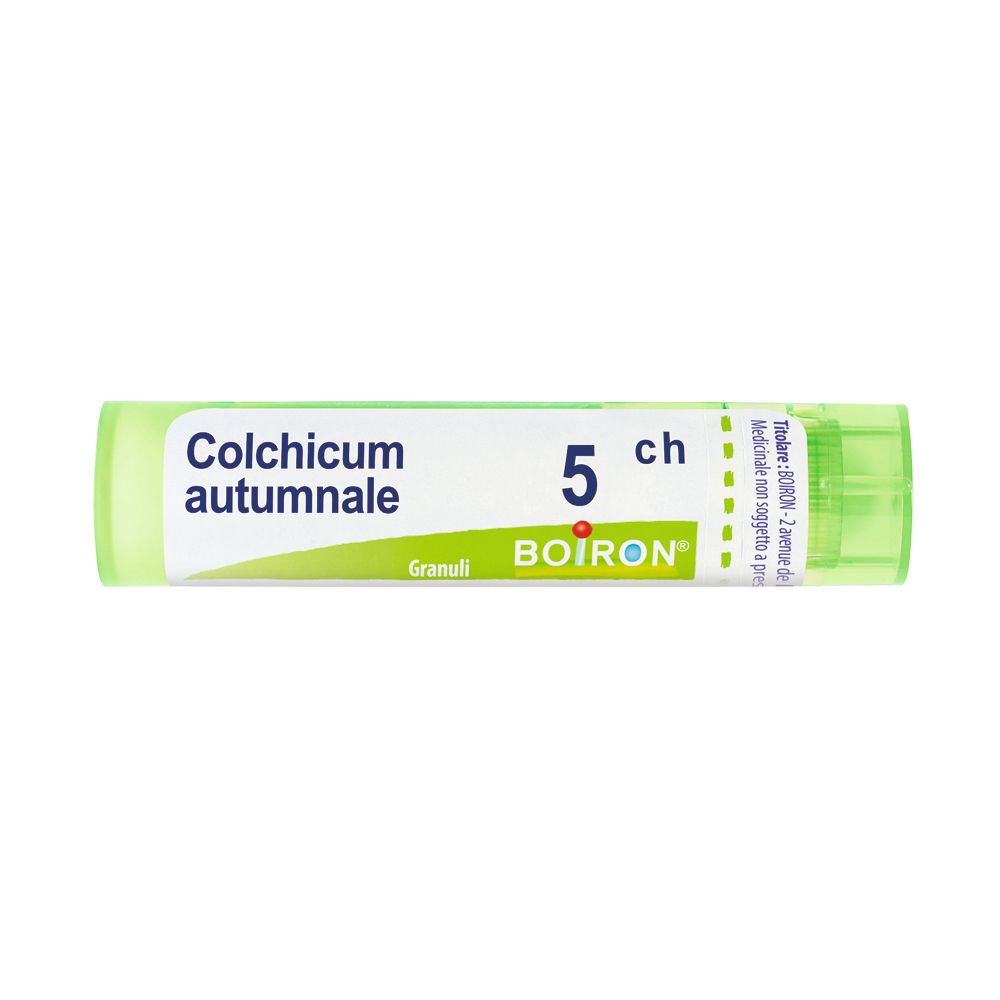 COLCHICUM AUT BOI*5CH 80GR