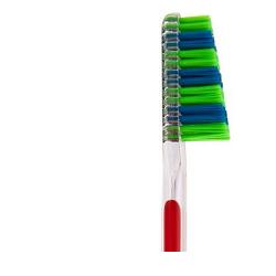 TAUMARIN SPZ SCAL33 MEDIO