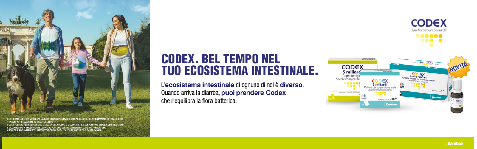Hero Desktop Codex