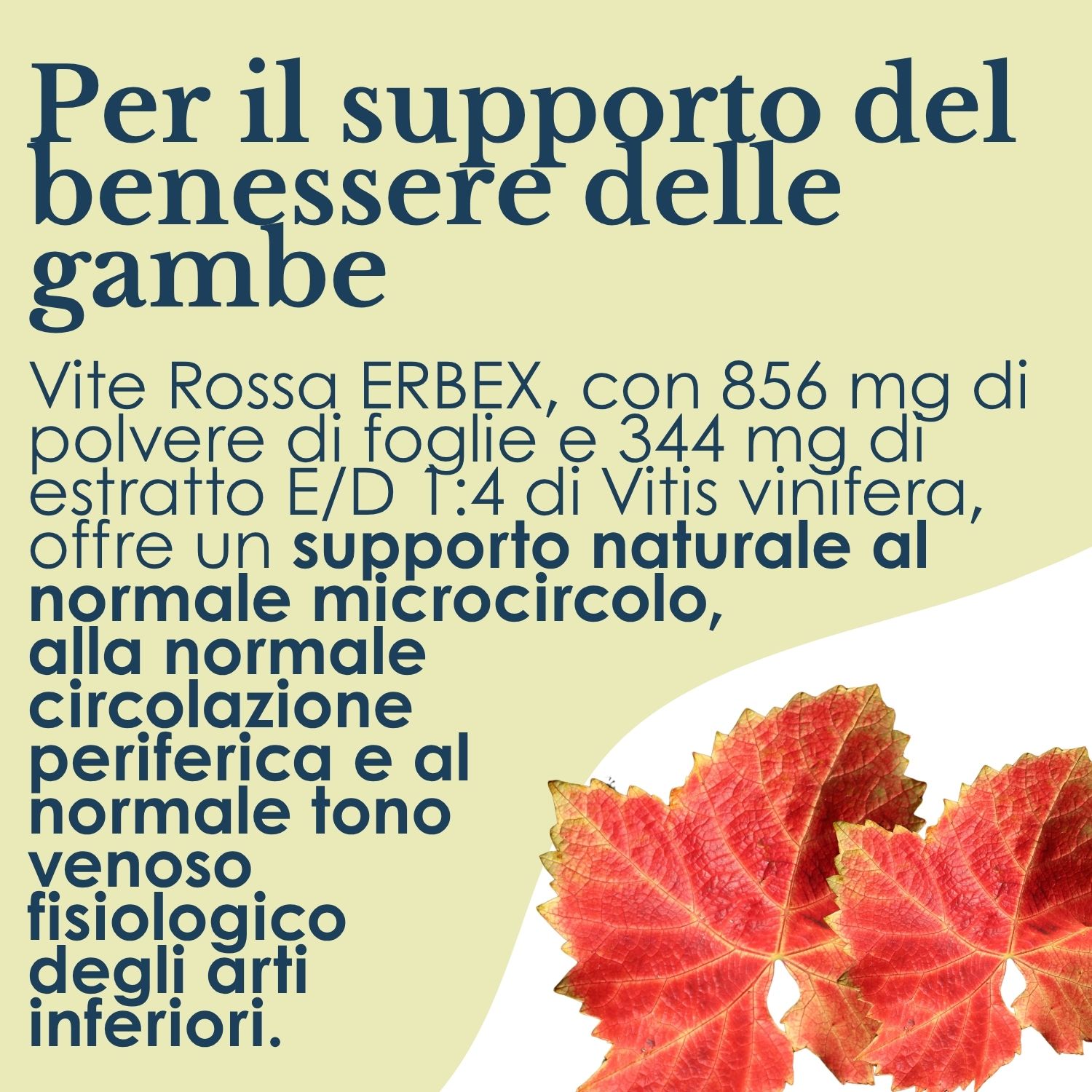 VITE ROSSA 100CPS 380MG