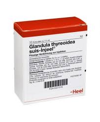 Guna Heel Glandula thyreoidea suis-injeel 10 Fiale