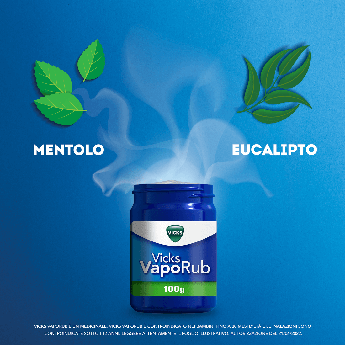 Vicks Vaporub Canfora Unguento per Uso Inalatorio 50 g