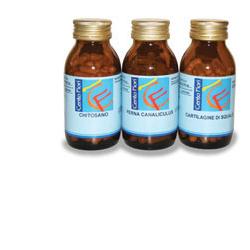 PERNA CANALICULUS 100 OPERCOLI