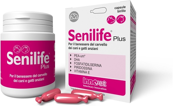 SENILIFE Plus 60 Cps