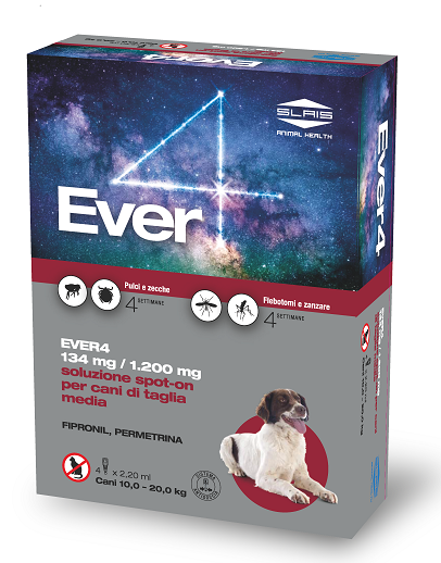 EVER 4*4PIP 2,20ML 134+1200MG