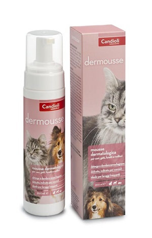 DERMOUSSE Mousse Det.200ml
