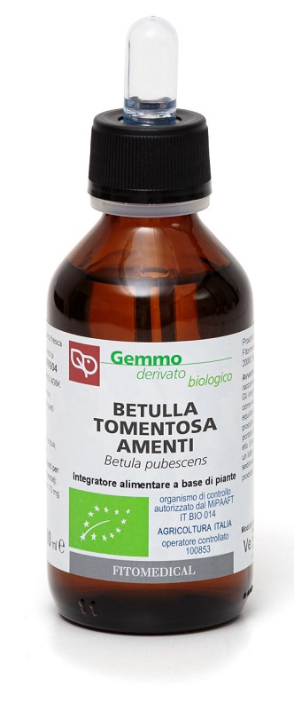 BETULLA PUB AMENTI MG100ML BIO