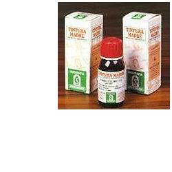 Specchiasol Soluzione Idroalcolica 61 Erisimo Per Vie Respiratorie 50 Ml