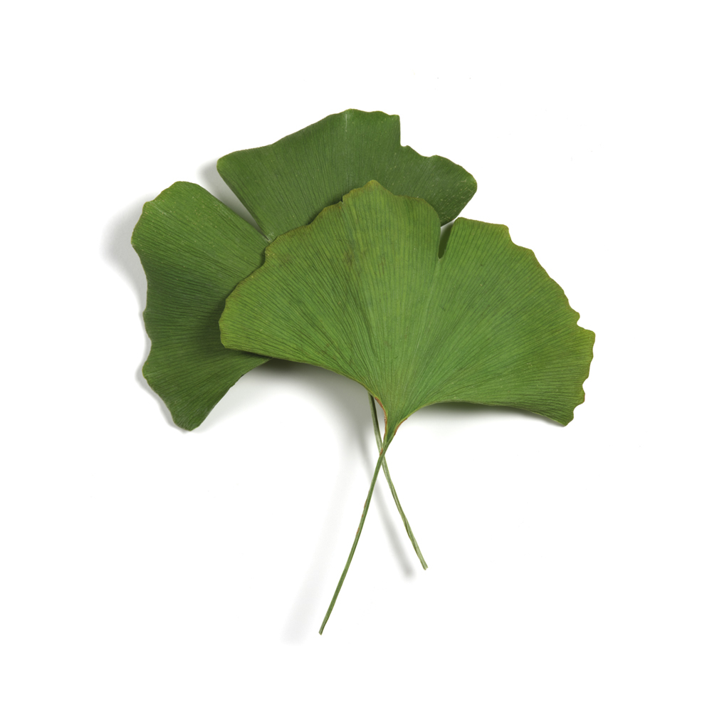 APIVITA EXP EYE GINGK 2X2ML/19