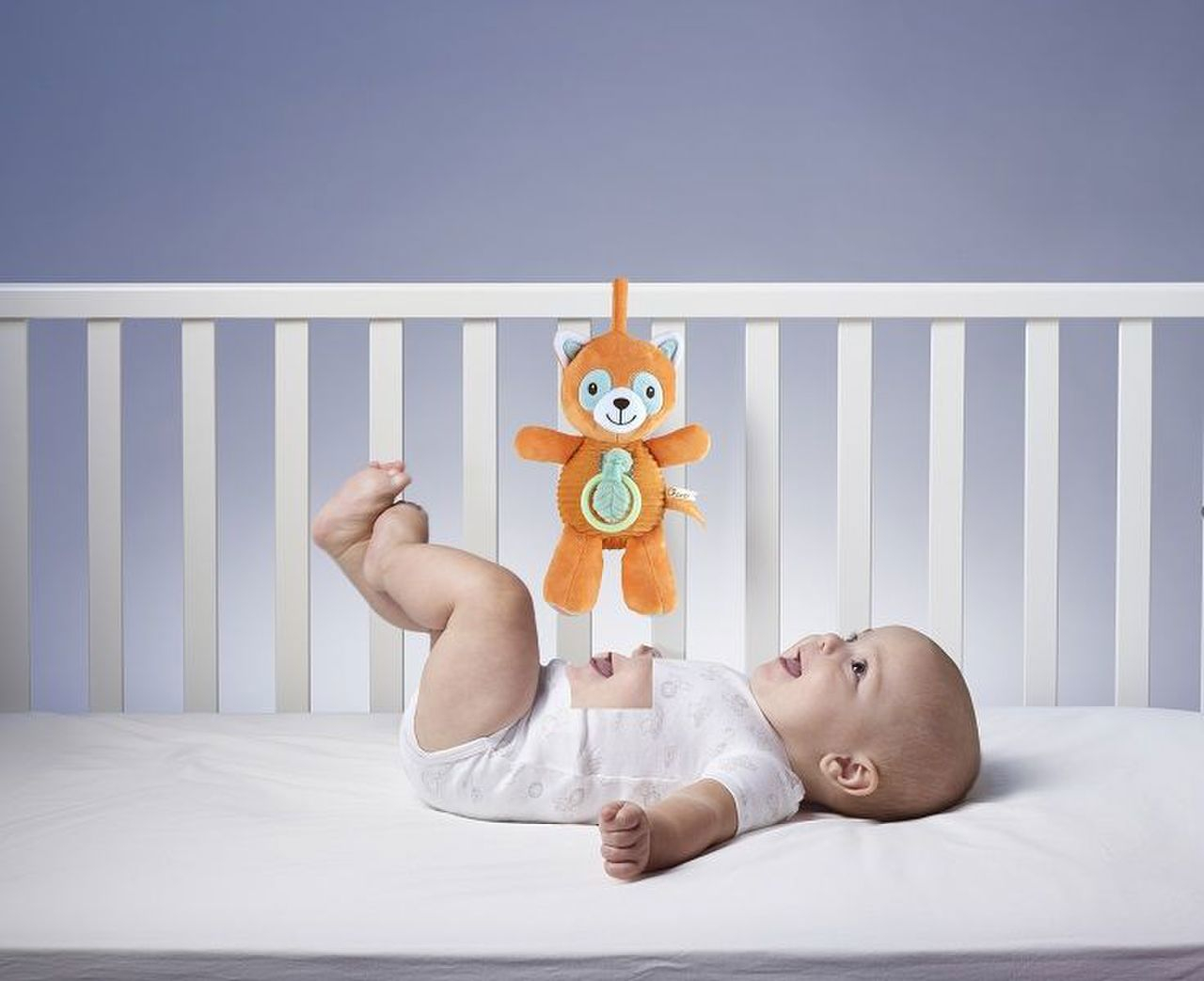 CH Gioco MSDD RedPanda Musical