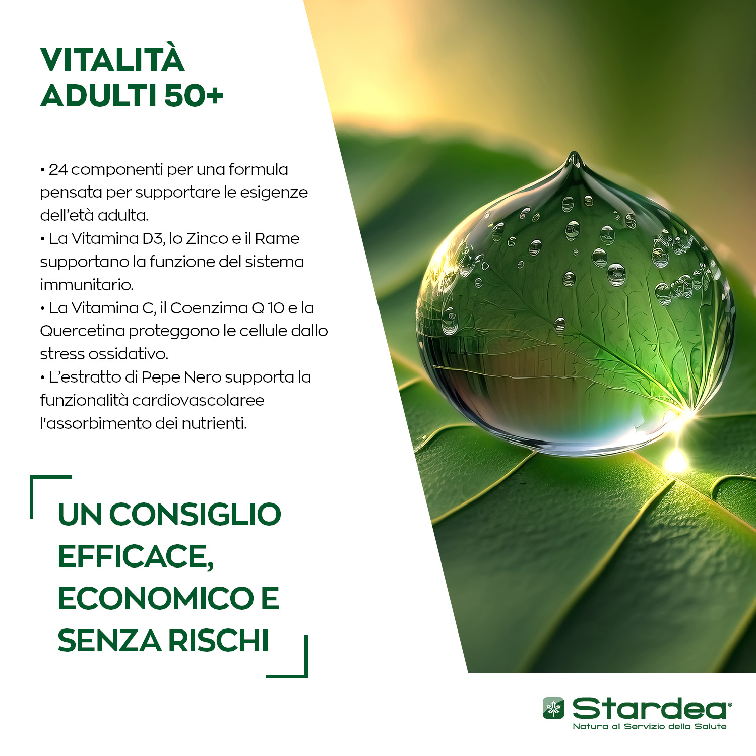 STARDEA VITALITA'  Compresse - INTEGRATORE ALIMENTARE  VITAMINE, MINERALI E COENZIMA Q10