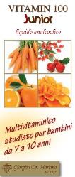 VITAMIN 100 JUNIOR LIQUIDO ANALCOOLICO 500 ML
