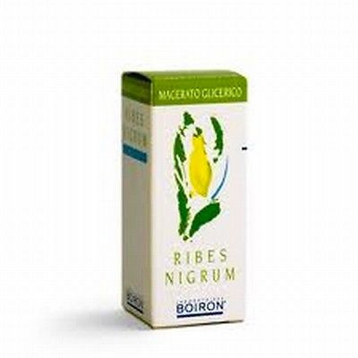 Boiron Ribes Nigrum Gemme 1DH Macerato Glicerico 60 ml