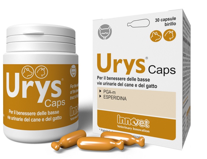 URYS CAPS 30 Cps