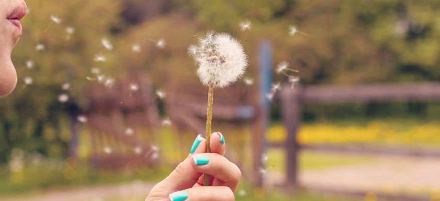 Allergia primaverile sintomi e rimedi efficaci