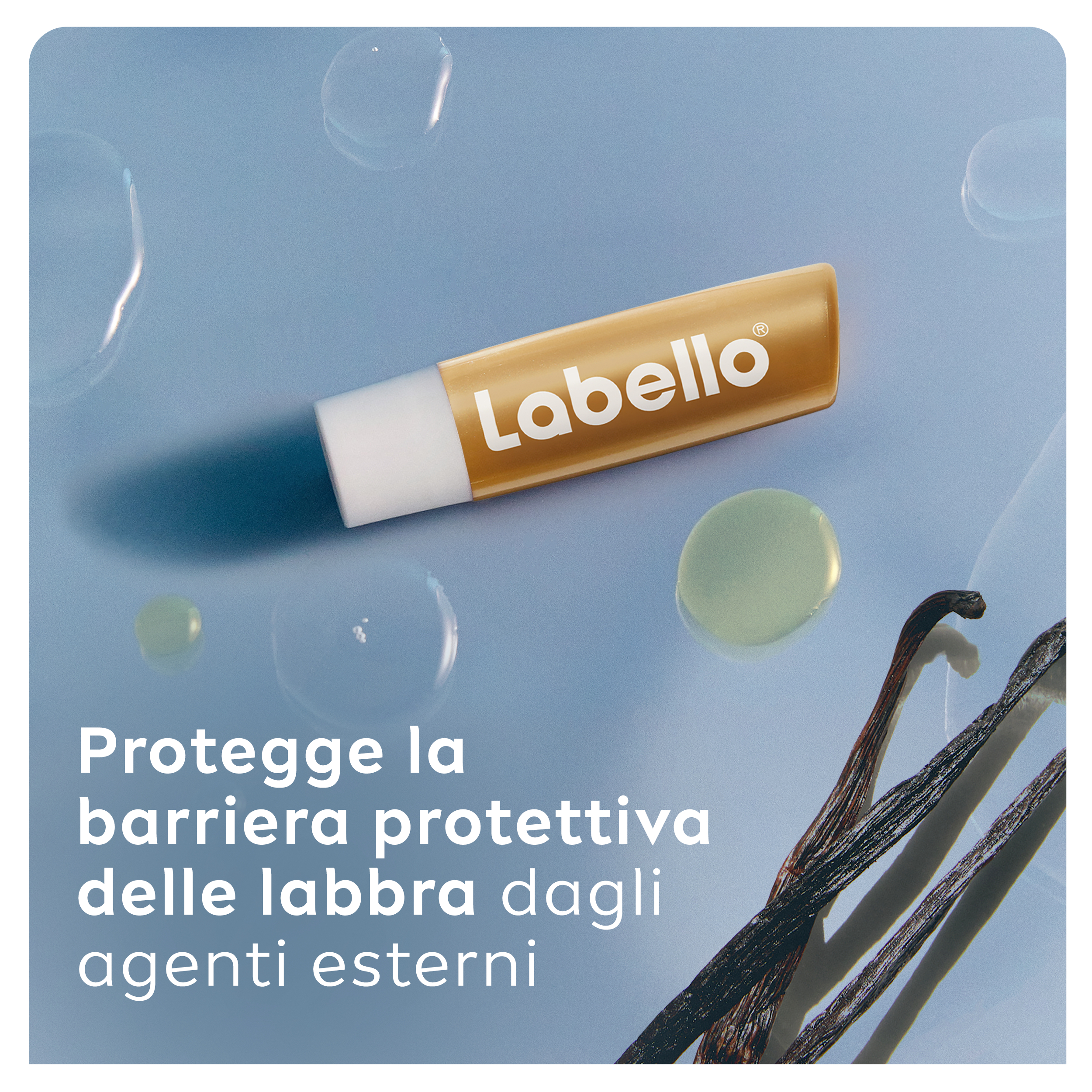 Labello Vanilla Buttercream 4.8 g, Burrocacao labbra idratante con profumazione alla Vaniglia