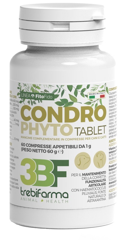 CONDROPHYTO 60CPR 1G
