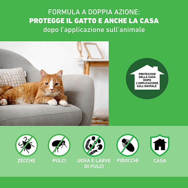 Frontline Combo Gatti x3 Pipette, Antiparassitario per Gatti, Gattini e Furetti, Contro Pulci, Zecche, Uova, Larve e Pidocchi