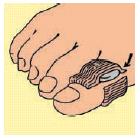 LINEA PIED DIGITAL PADS S/M