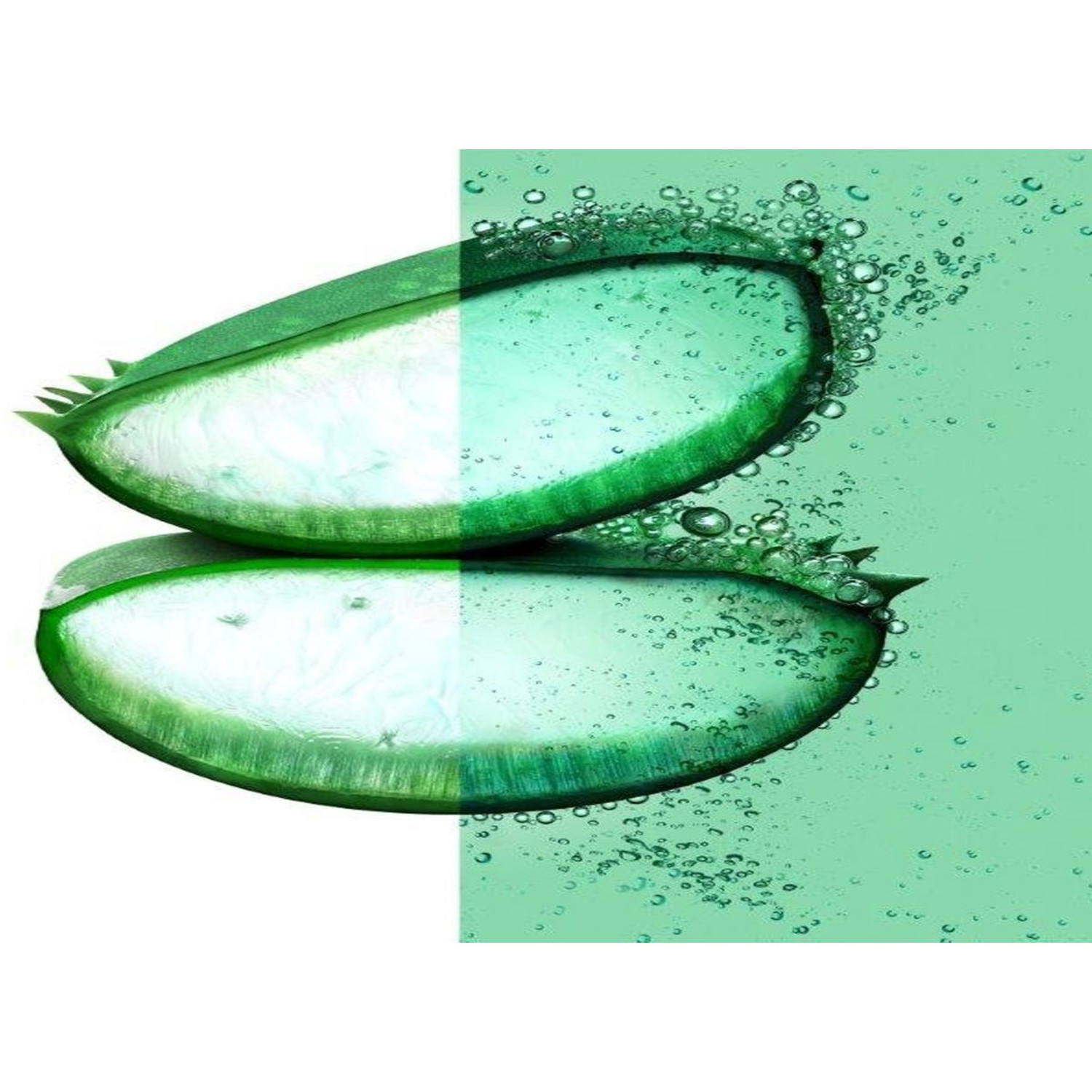 Garnier Shampoo Idratante Fructis Hair Food, Shampoo idratante all'aloe per capelli disidratati, 350 ml