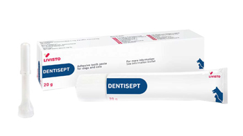 DENTISEPT Pasta Dent.20g
