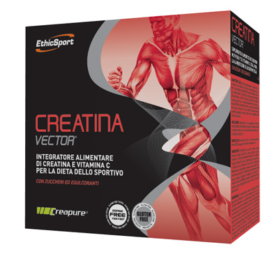 CREATINA VECTOR 20BUST 8G
