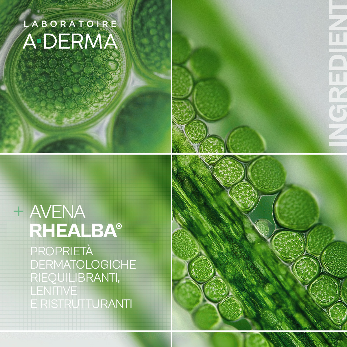 A-Derma Exomega Control Olio lavante emolliente  “anti-grattage”, pelle secca a tendenza atopica, 500ml