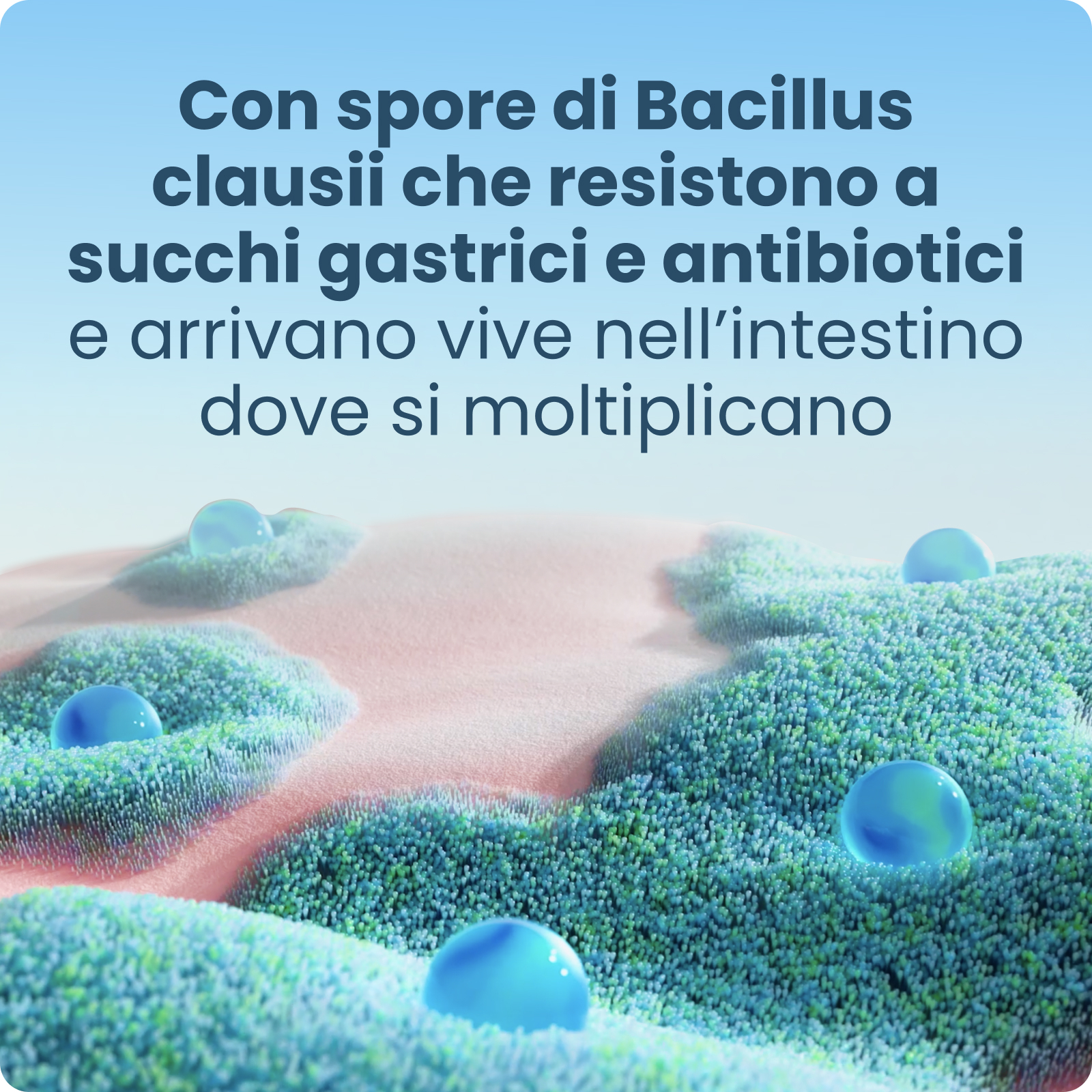 Enterogermina sospensione orale - 2 miliardi - 10 flaconcini - 5 ml 