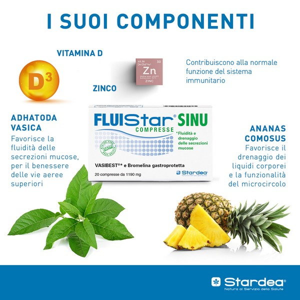 FLUISTAR SINU 20CPR