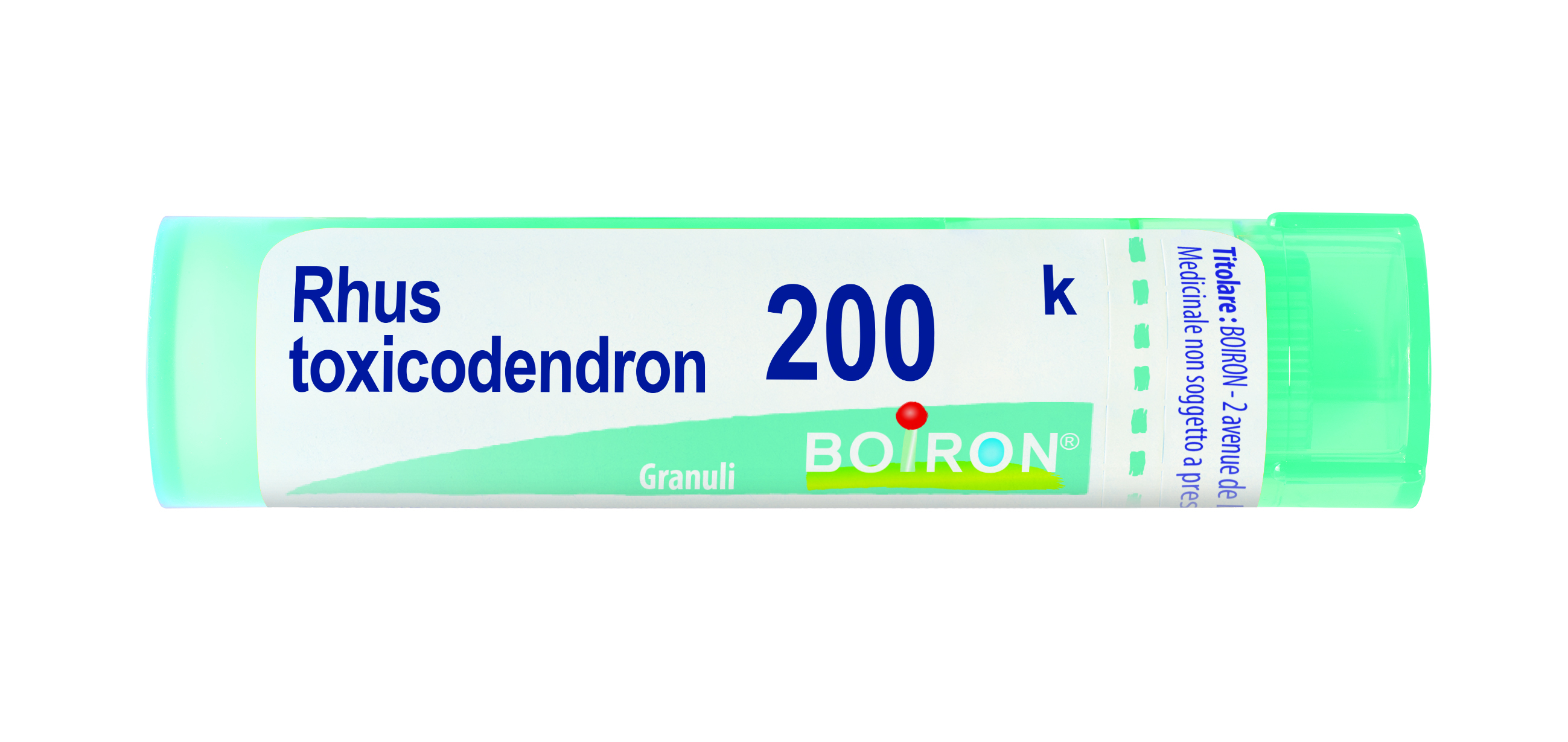 BO.RHUS TOXICODEND*200K 80GR4G