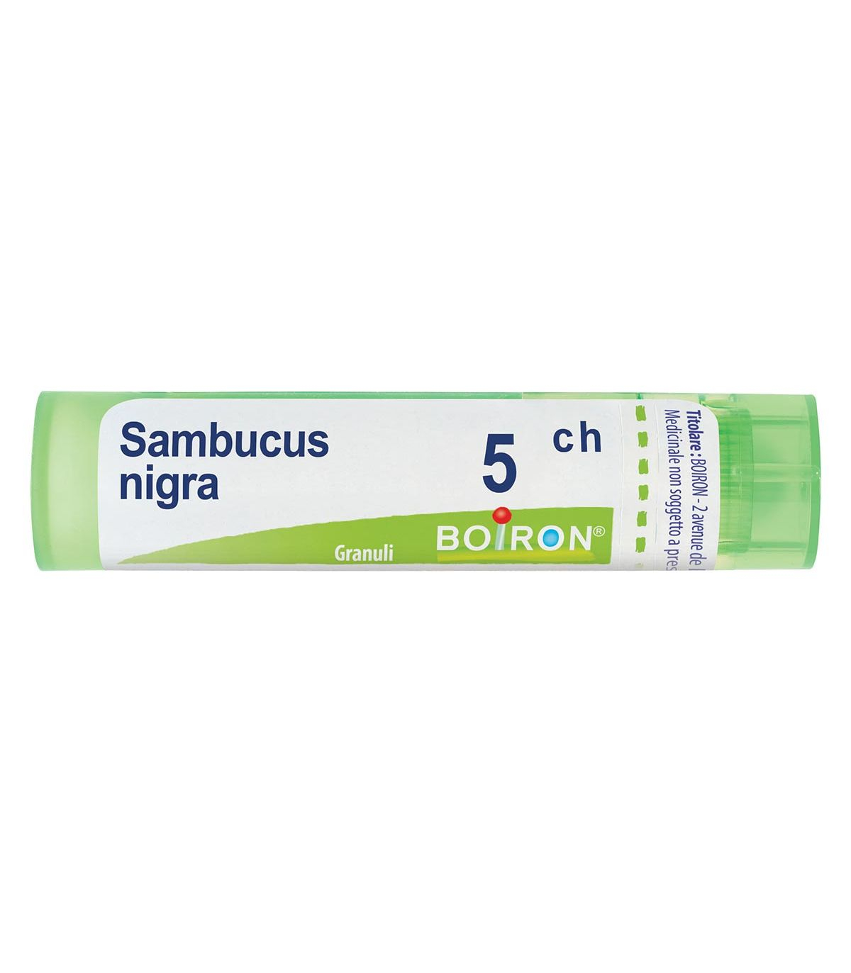 SAMBUCUS NIGRA*5CH 80GR 4G