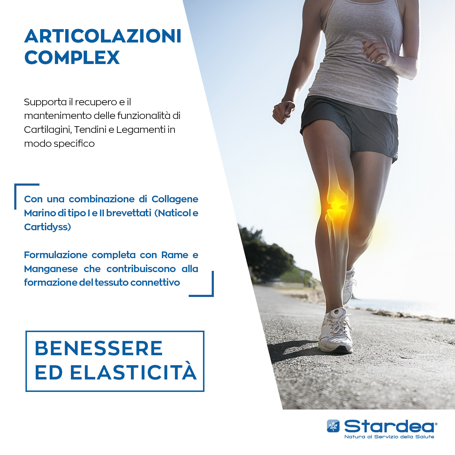 STARDEA ARTICOLAZIONI COMPLEX  Compresse - COLLAGENE TIPO I & TIPO II - INTEGRATORE ALIMENTARE - BENESSERE ED ELASTICITA' ARTICOLARE