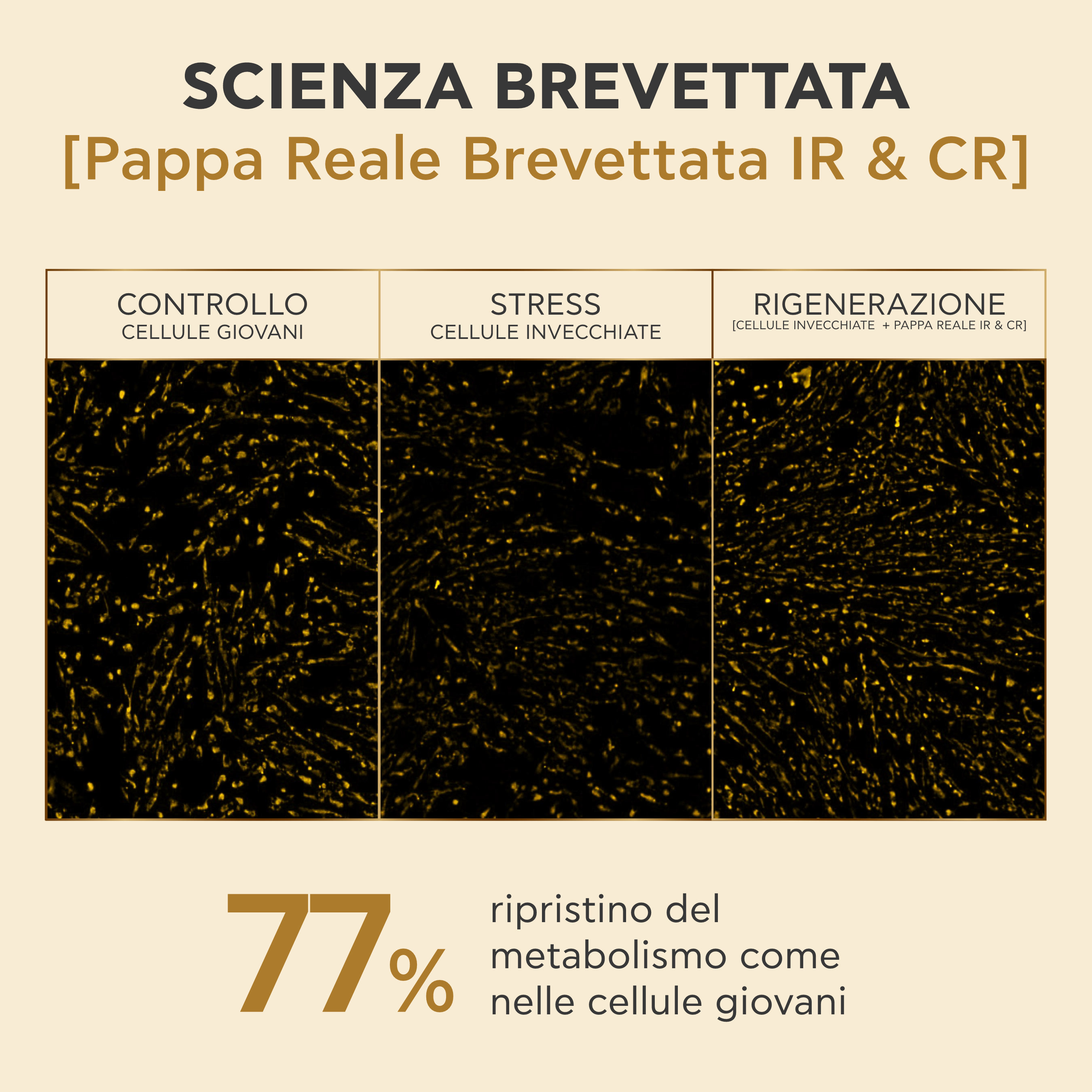 Apivita Queen Bee Longevity - Siero Viso Antiage 12 Indicatori Di Giovinezza 30 ml