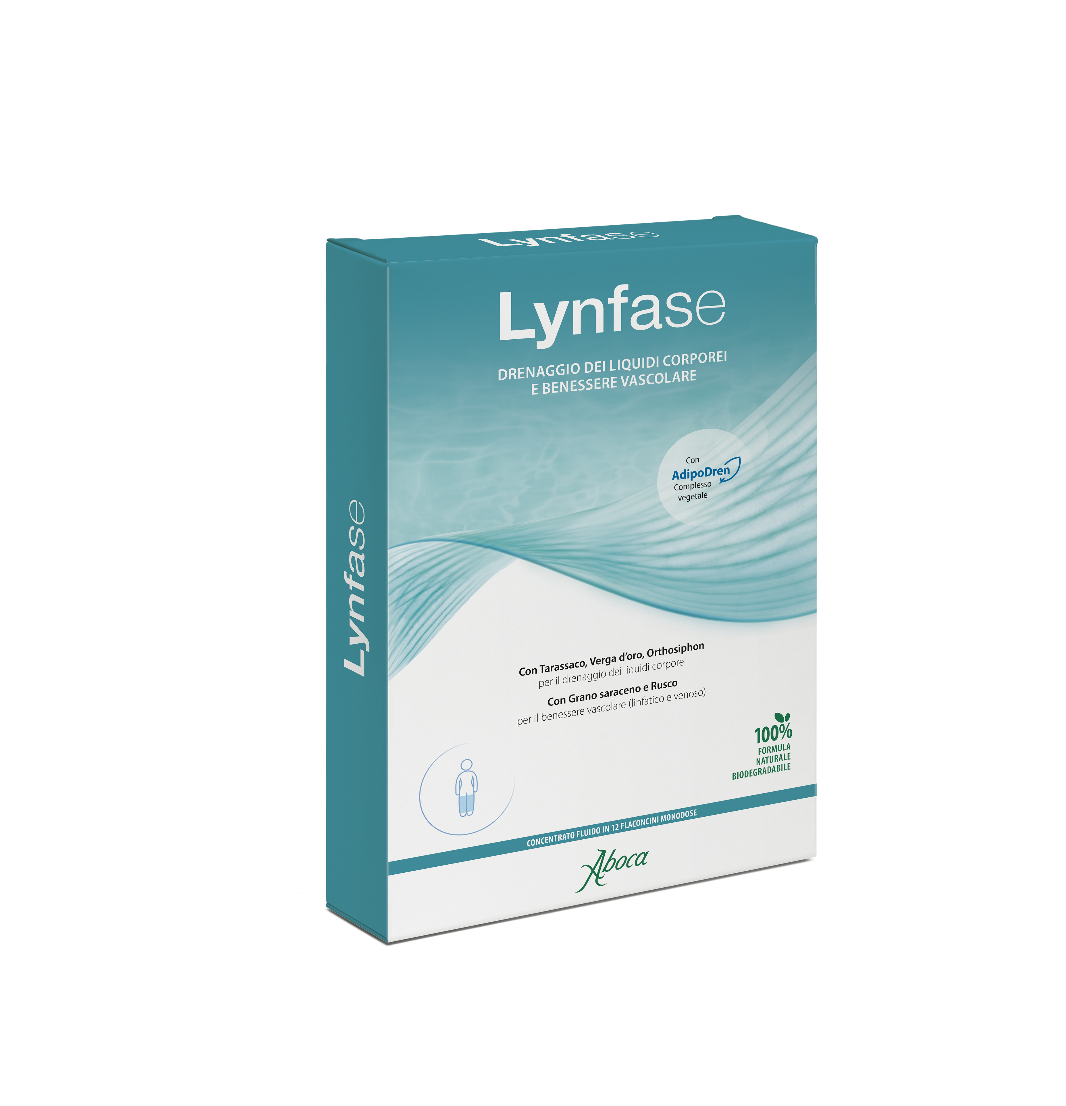 LYNFASE CONCENTRATO FLUIDO12FL