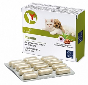IMMUN 60CPR