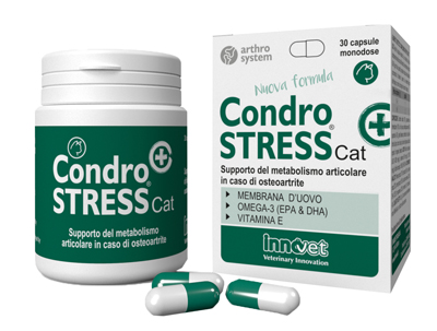 CONDROSTRESS+CAT 30 Cps