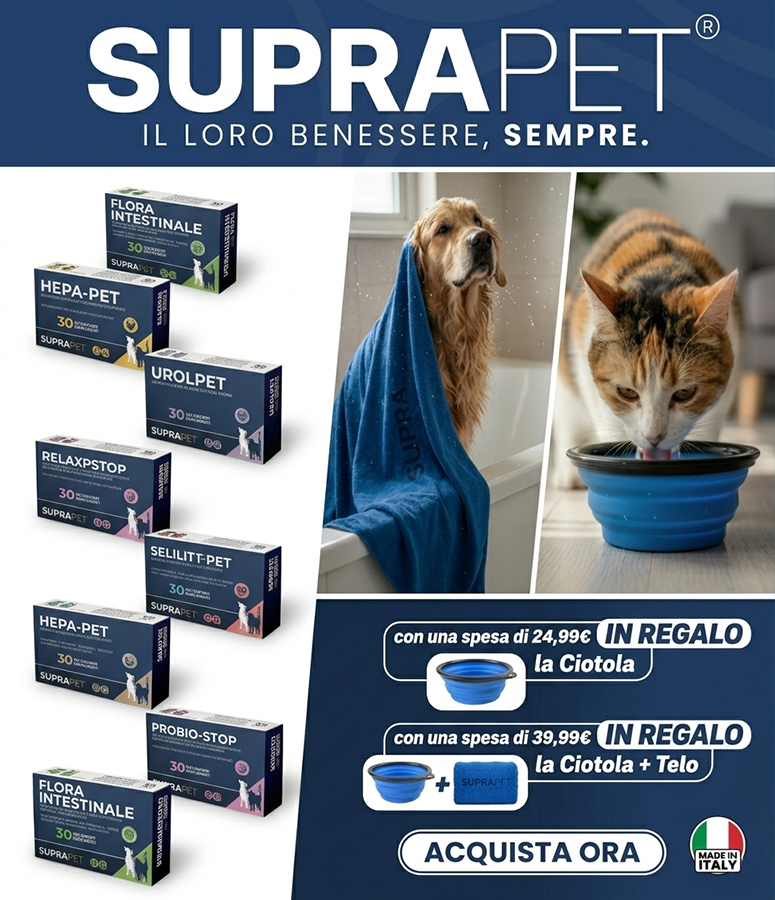 Hero Desktop Superapet