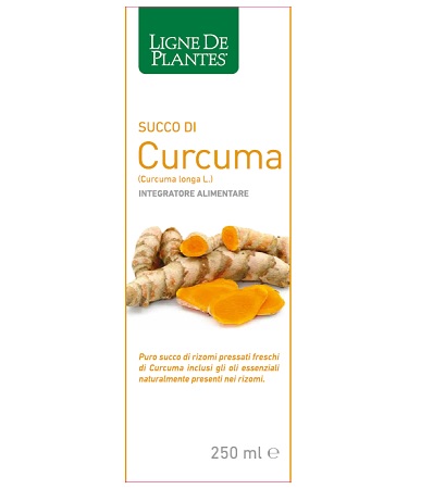 CURCUMA BIO SUCCO 250ML