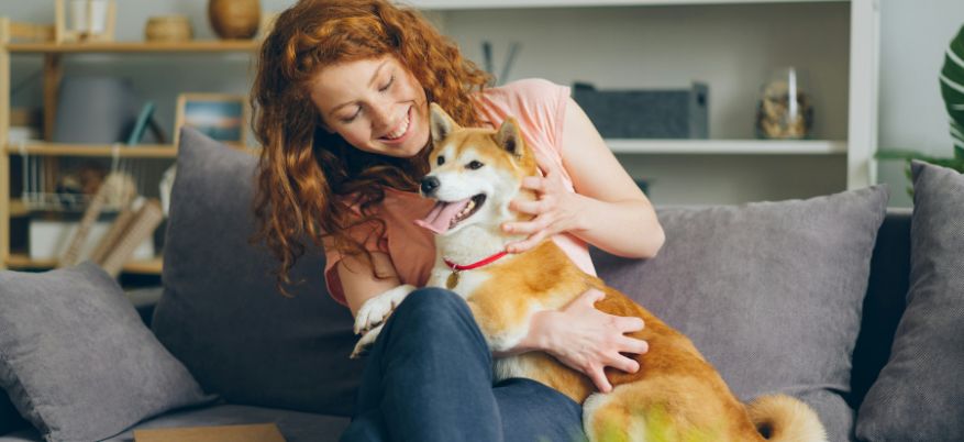 Antiparassitari tutto l’anno: perché non sospendere la protezione