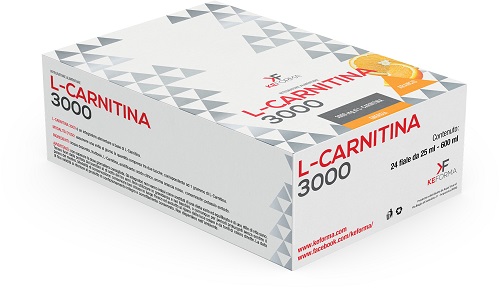 L CARNITINA 3000MG 24FL 25ML