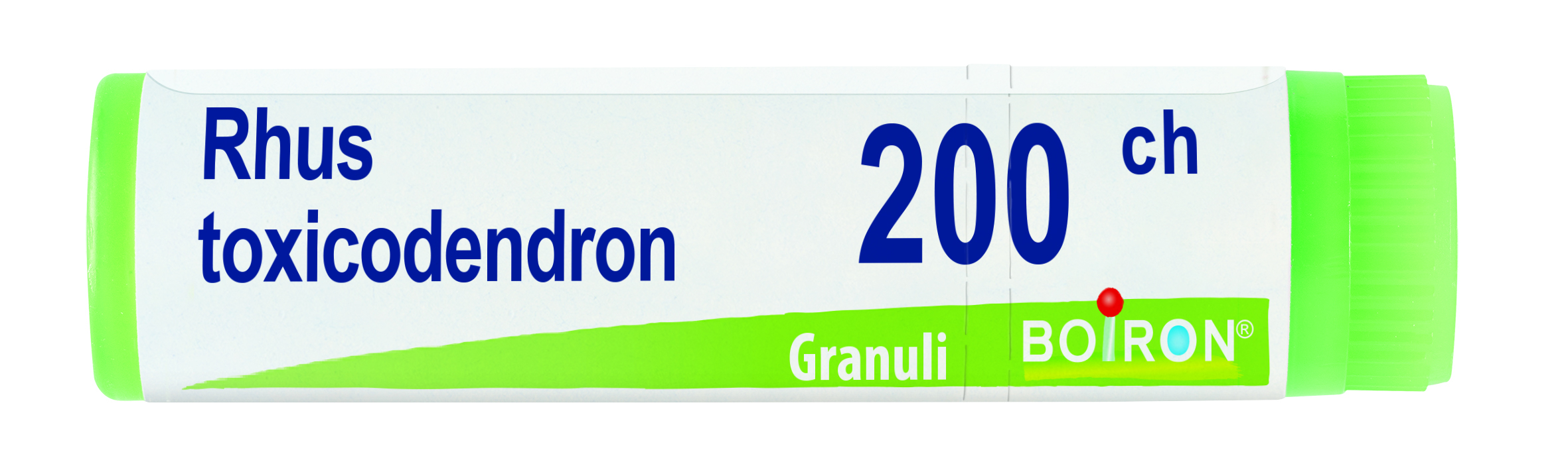 RHUS TOXICODENDRO*200CH GR 1G BO