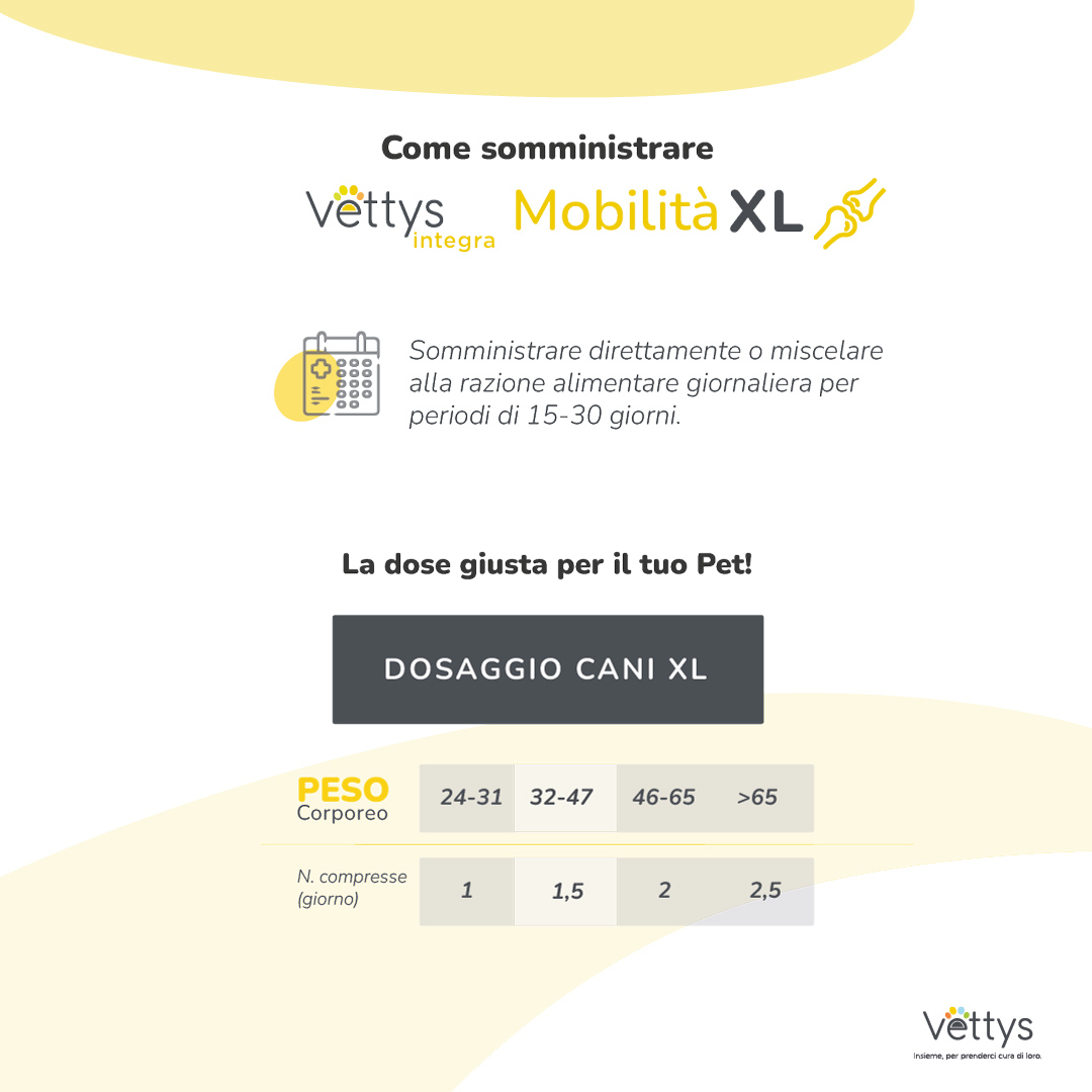VETTYS Integra Mobilita'XL 